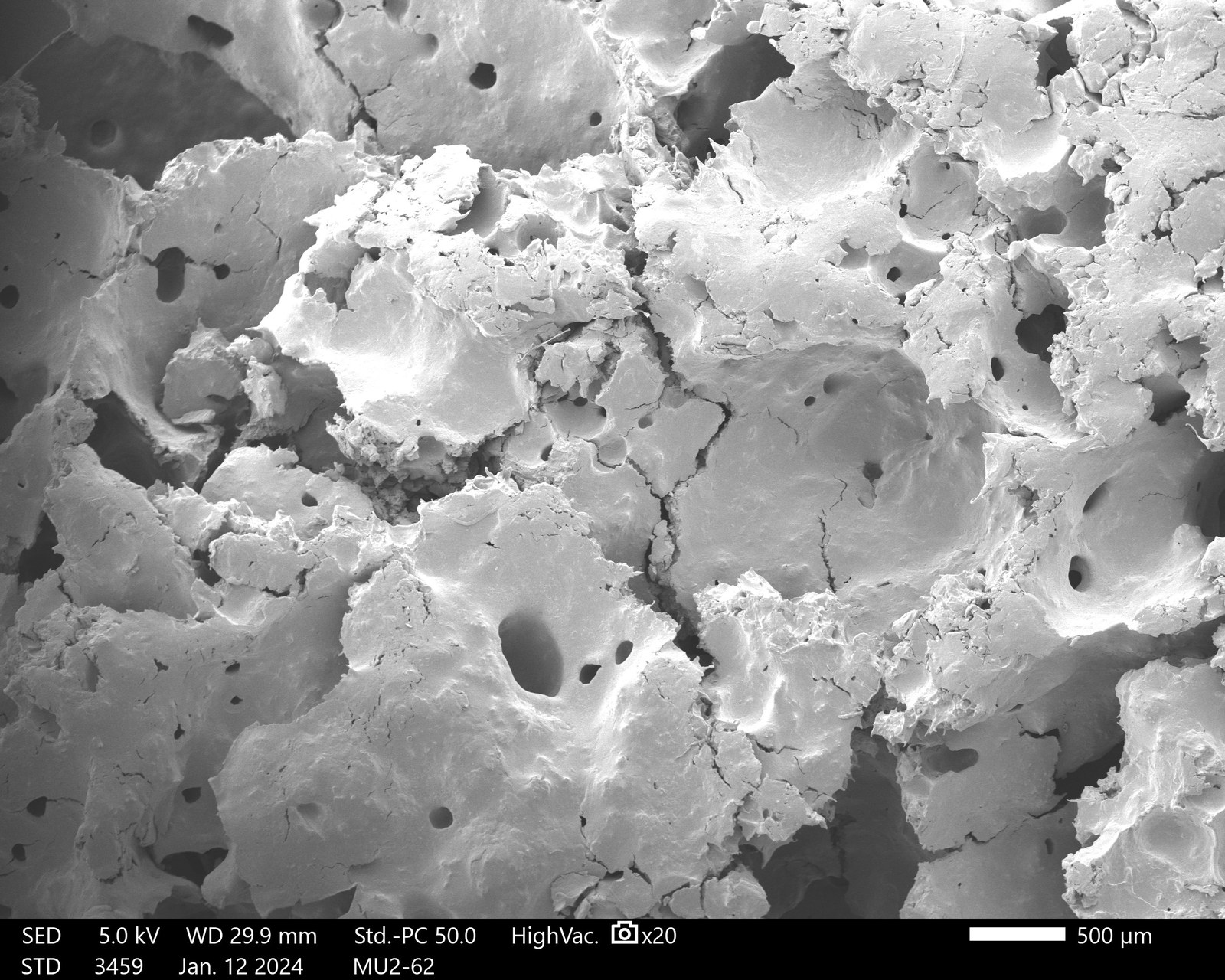 Scanning electron microscopy of engineered material microstructure